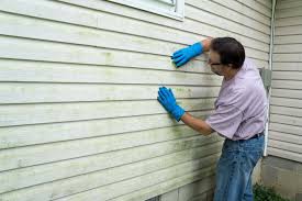 Best Custom Trim and Detailing for Siding  in Seminole, FL